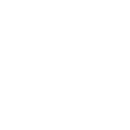 brain